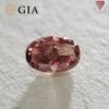 0.25 Carat Fancy Deep Brownish Orangy Pink SI2 GIA  Natural Loose Diamond 天然  ピンク ダイヤモンド Oval Shape 2