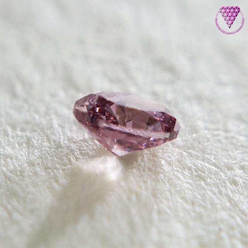 0.058 Carat Fancy Vivid Purplish Pink Oval VS2 CGL Japan Natural Loose Diamond Exchange Federation 3